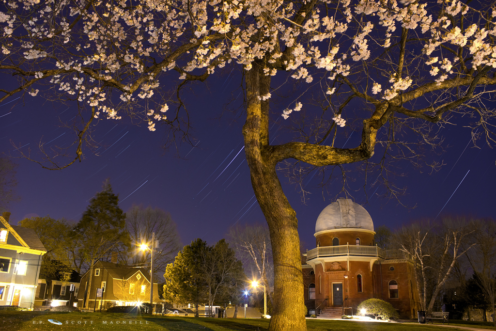 Cherry Blossoms, Star Trails, and an Observatory
