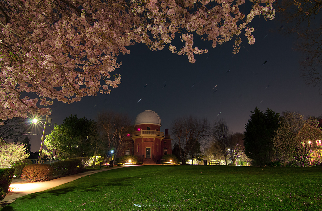 Cherry Blossoms and Star Trails at Ladd Observatory
