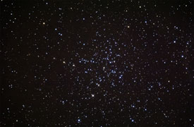 Messier 38: The Starfish Cluster