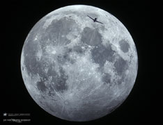 Destination: Penumbral Lunar Eclipse